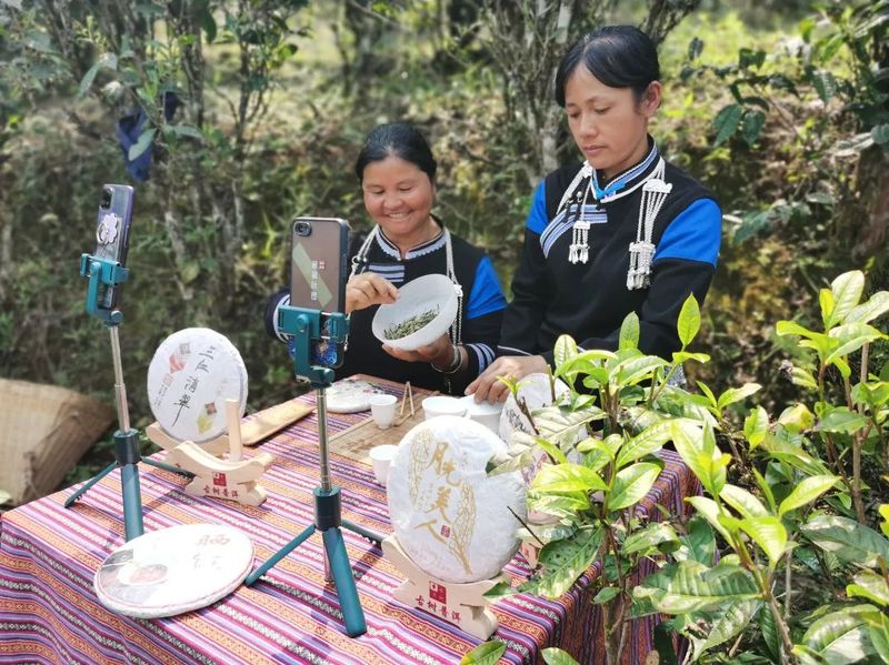 有关于当直播电商“遇见”普洱茶香  订单、销量、收入的消息(5)