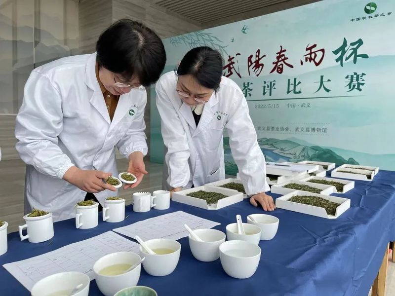 有关于一场春雨后，开怀话武阳——第十届武阳春雨杯名茶评比大赛结果新鲜出炉的相关内容(2)