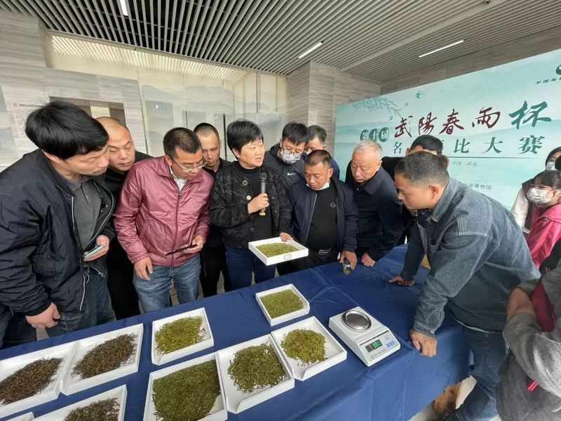 有关于一场春雨后，开怀话武阳——第十届武阳春雨杯名茶评比大赛结果新鲜出炉的相关内容(19)