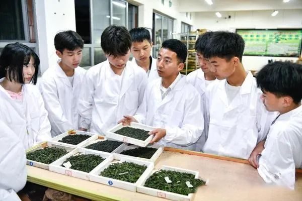 有关于“五四”青年节：青春执教 “茶”上闪光的新闻(1)