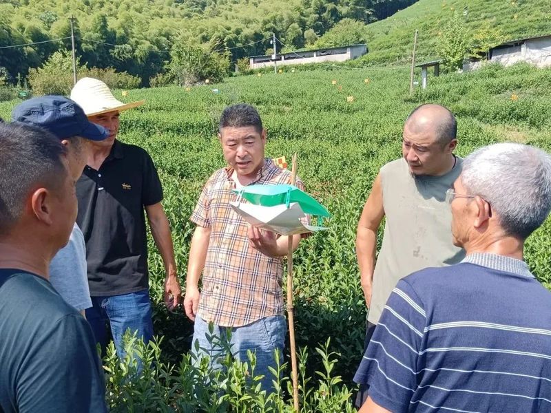 有关于萧山区举办生态茶园管理技术培训班的相关信息(2)