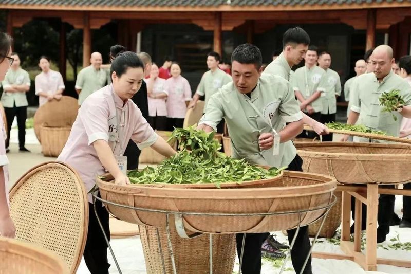 有关于武夷模式：推进茶旅融合发展，加强茶文化保护传承的信息(1)