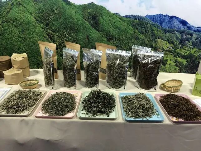 有关于云南景谷大白茶受邀参加首届中国白茶交易大会的相关信息(3)