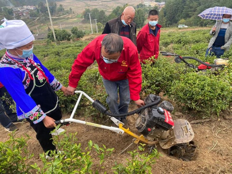 有关于黔南州茶产业发展领导小组到云雾镇  开展 2022年茶园秋冬管护现场培训的资讯