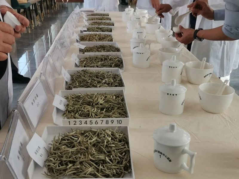 有关于一周速读：茶产业这十年、普洱茶产业发展历程、绿色生态造就有机好茶的资讯(4)