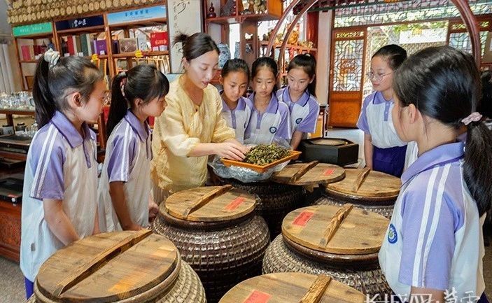 关于河北遵化：“小茶艺师”体验传统茶文化的内容(5)