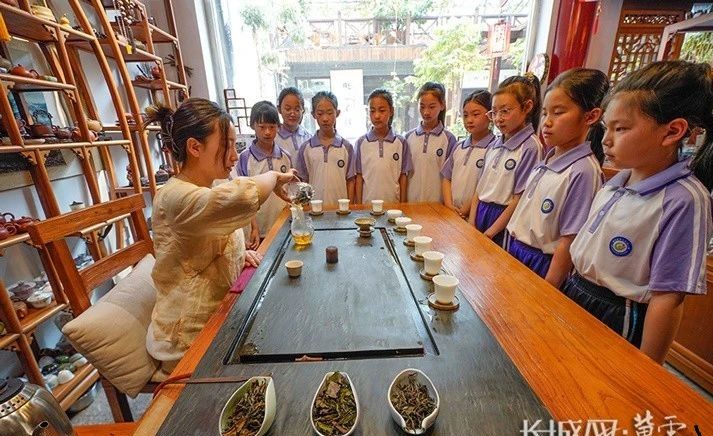 关于河北遵化：“小茶艺师”体验传统茶文化的内容