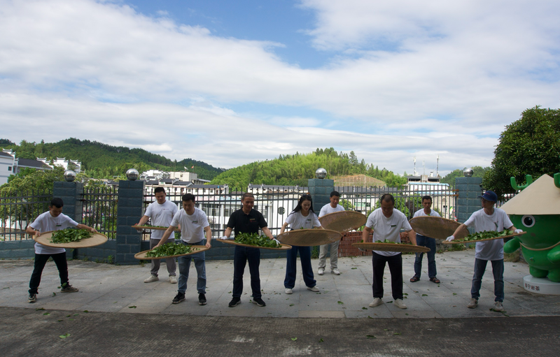 关于中国农业科学院茶叶研究所制茶师（泰宁岩茶）福建农村青年致富“种子工程”研习班圆满结束！的相关信息(10)