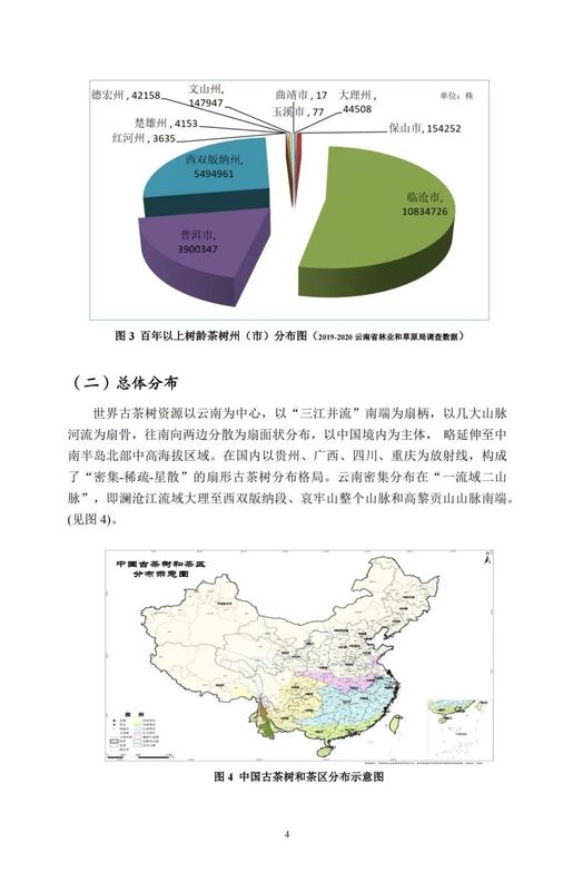 关于中国古茶树资源状况如何？云南最多，贵州、广西、四川其次的资讯(6)