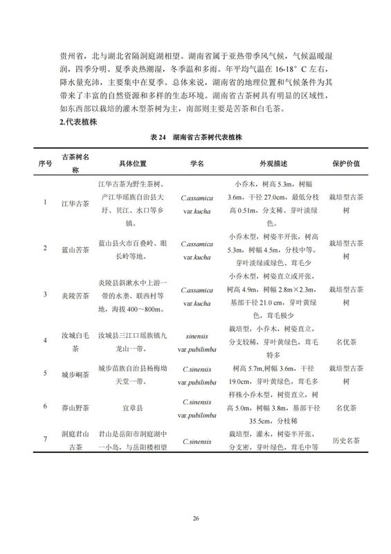 关于中国古茶树资源状况如何？云南最多，贵州、广西、四川其次的资讯(28)