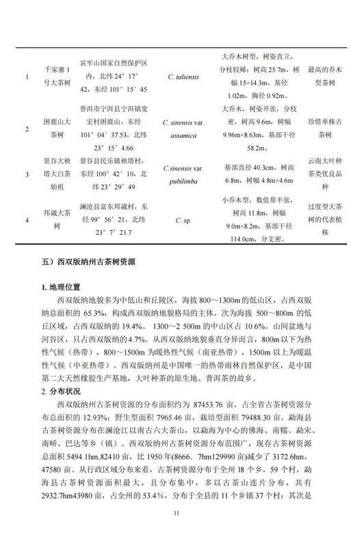 关于中国古茶树资源状况如何？云南最多，贵州、广西、四川其次的资讯(13)