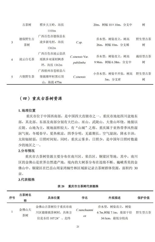 关于中国古茶树资源状况如何？云南最多，贵州、广西、四川其次的资讯(23)