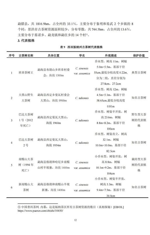 关于中国古茶树资源状况如何？云南最多，贵州、广西、四川其次的资讯(14)