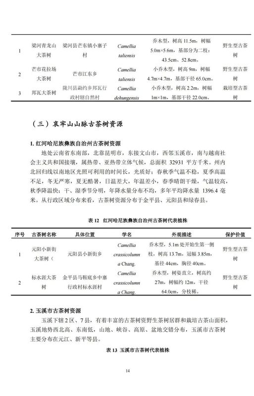 关于中国古茶树资源状况如何？云南最多，贵州、广西、四川其次的资讯(16)