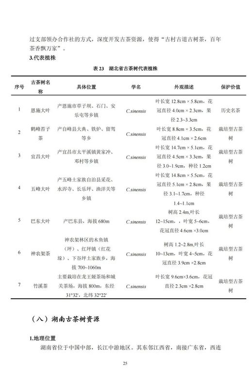 关于中国古茶树资源状况如何？云南最多，贵州、广西、四川其次的资讯(27)