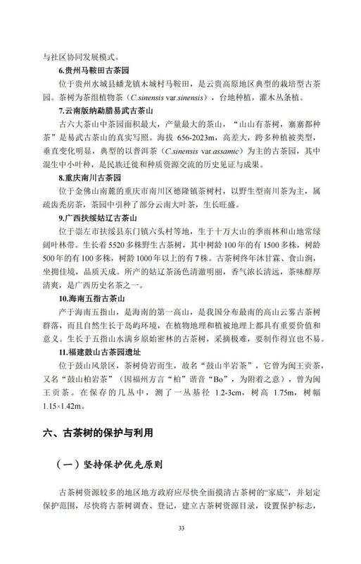 关于中国古茶树资源状况如何？云南最多，贵州、广西、四川其次的资讯(35)