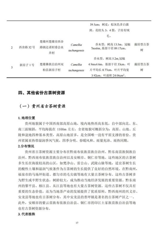 关于中国古茶树资源状况如何？云南最多，贵州、广西、四川其次的资讯(19)