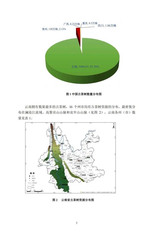 关于中国古茶树资源状况如何？云南最多，贵州、广西、四川其次的资讯(4)