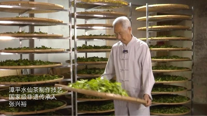 关于茶和世界 共品共享，第五届“美美与共”云茶会在杭州隆重举行！的内容(13)