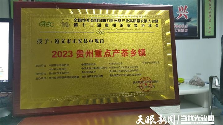 有关于正安县中观镇：双轨运行 推动茶产业高质量发展的最新消息(3)