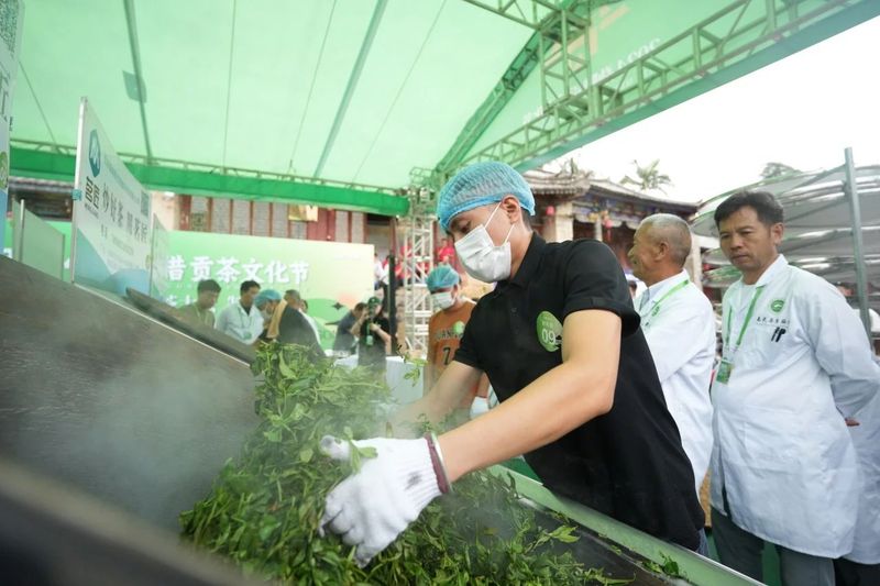 有关于勐腊县贡茶文化节，“斗”出好彩、好茶、好业来的最新消息(2)