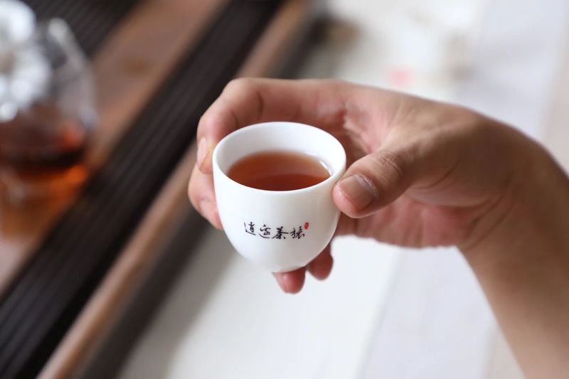 关于茶还可以这样喝！传统茶和新式茶飘香宁洱“国际茶日”活动的信息(7)