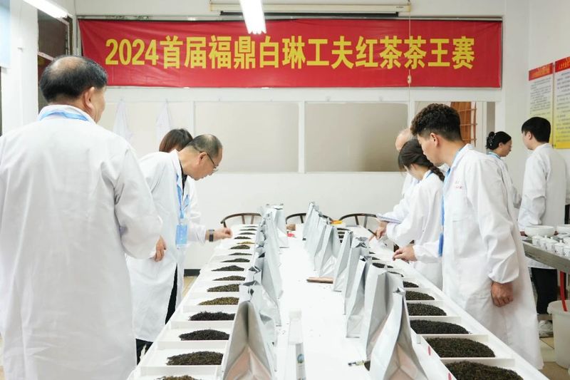 关于2024首届福鼎白琳工夫红茶茶王赛顺利举办！的相关内容(2)