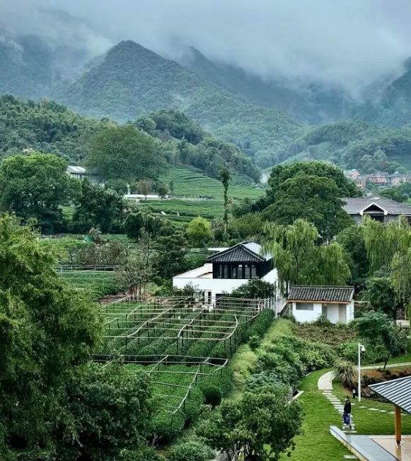 有关于“茶叶+艺术”发展新质生产力，“长埭吐翠”入选杭州“茶都十景”的相关信息