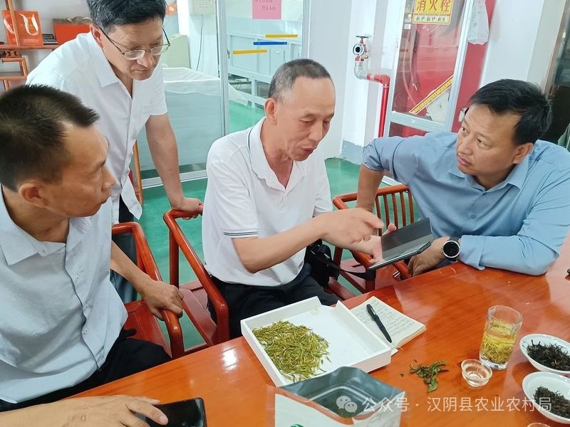 关于汉阴：省市专家来汉阴把脉富硒茶产业的内容(7)