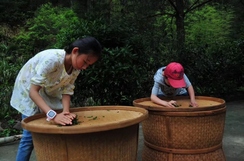 有关于“茶文旅”融合活态营造茶文化景观与非遗的沉浸体验的消息(14)