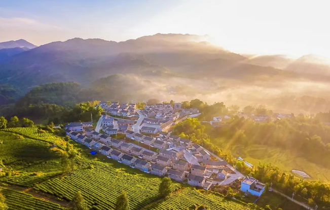 有关于梁河 阿昌山寨的那片白花油茶园的相关内容(1)