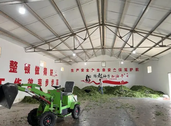 关于浉河区推广大宗茶让企业茶农双增收 “多链模式”带来发展新机遇的相关信息