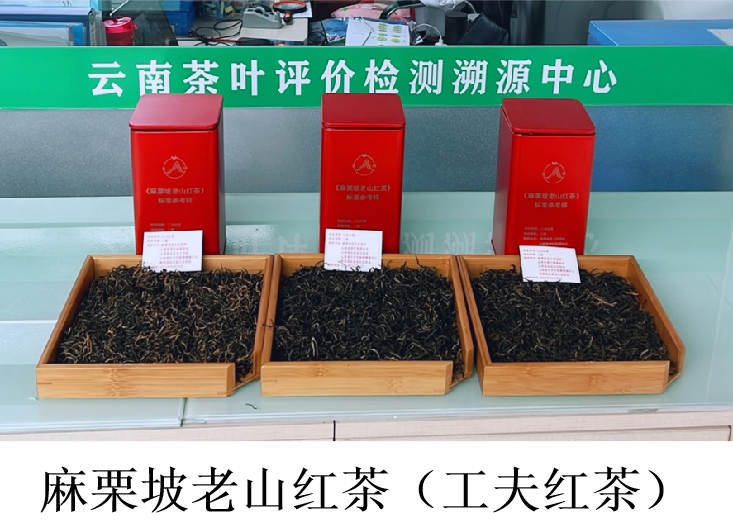 关于人民网关注！4项“麻栗坡老山茶团体标准”通过技术审查的信息(2)