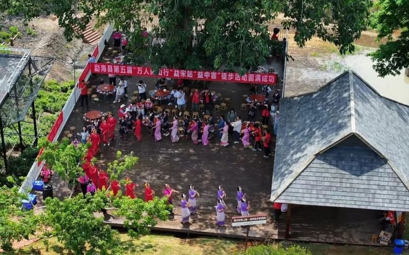 关于茶王节  勐宋乡举行第五届“万人茶山行”活动的内容(3)