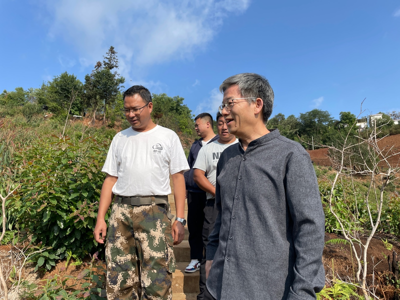 关于古茶树联盟专家走进元江县那诺乡，携手茶农共绘茶叶种质资源保护与发展新篇章的消息(8)