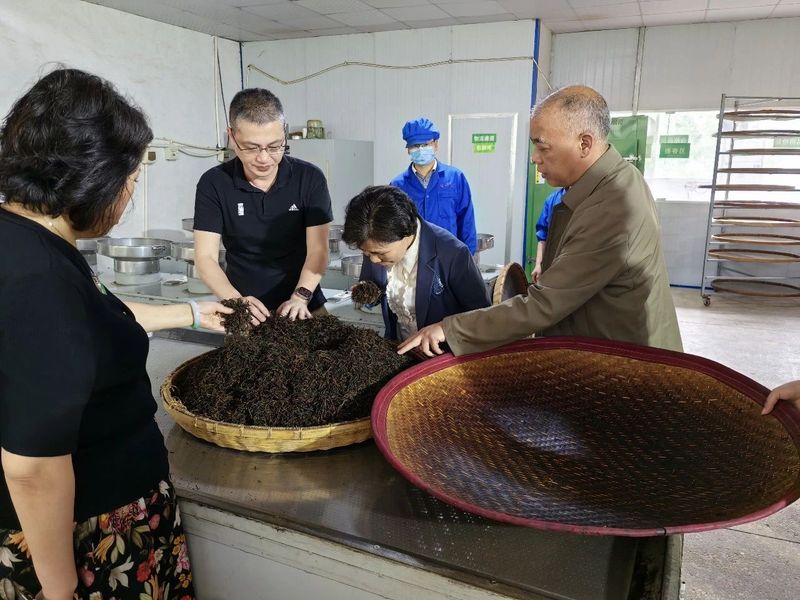 有关于罗玉梅调研邵阳市茶产业发展的信息(12)