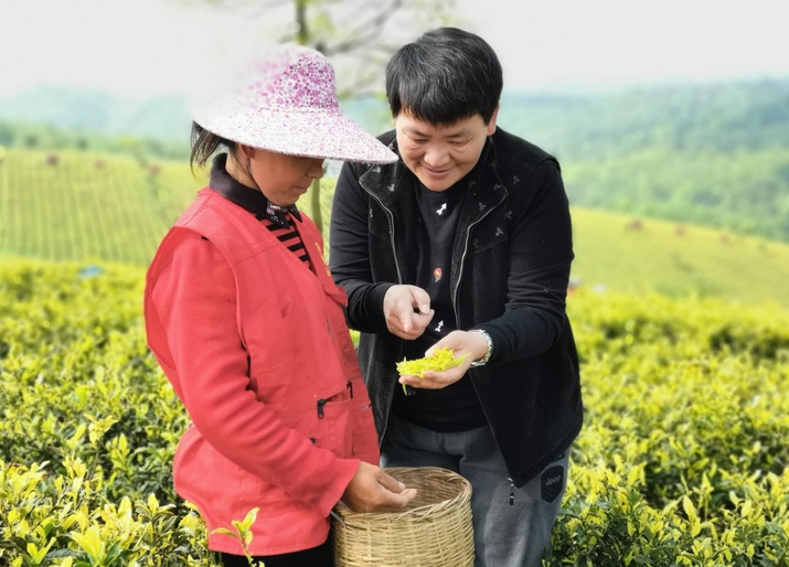 有关于全国乡村工匠名师黄红缨：荒山种茶 兴业富民的相关信息(1)