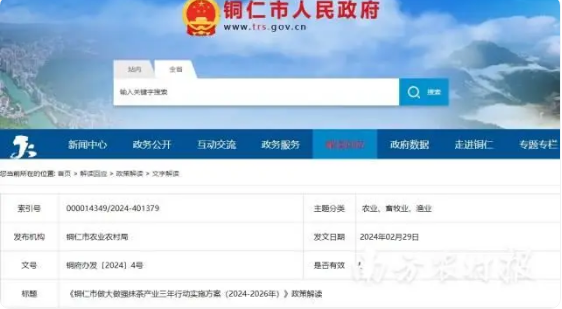 关于铜仁梵净抹茶——中国极品好茶，销量领先全球！的新闻(7)