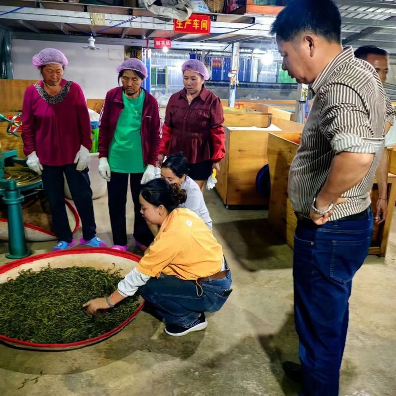 关于镇康县流水村茶产业院坝协商会议成果落地见效的资讯(1)