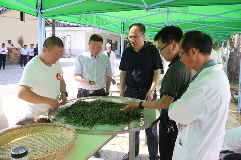 关于汉中市南郑区成功举办汉中红手工制茶大赛的内容(1)