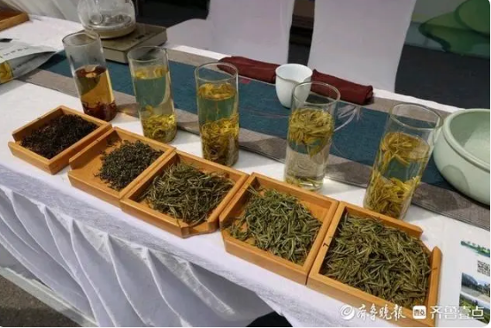 关于第六届中国·济南（槐荫）茶文化博览会第十届广友品茶节开幕的消息(4)