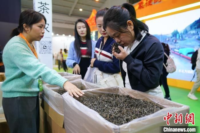 关于千年云茶展新韵：以新茶饮会世界友的最新消息(2)