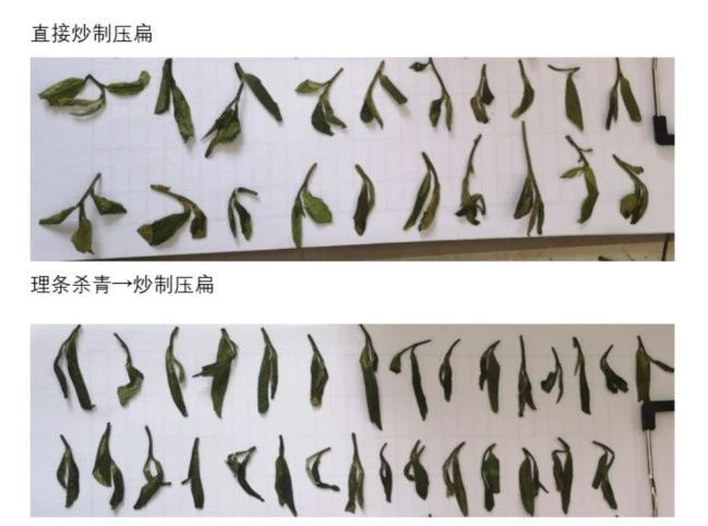 有关于新版浙江省地方标准《龙井茶加工技术规程》（DB33/T 239—2023）的消息(8)