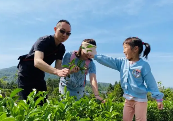 关于茶叶、茶饮、茶文化……一杯茶的N种玩法的信息(8)