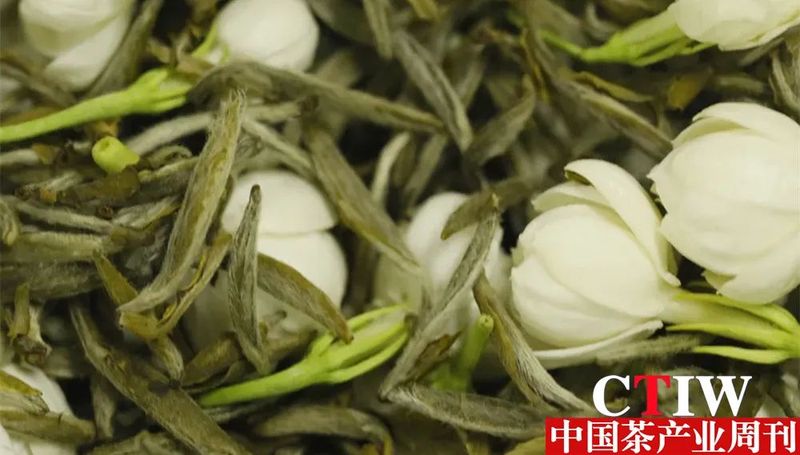 有关于福州茉莉花茶品牌价值46.84亿元 位列中国茶区域公用品牌第24位的内容