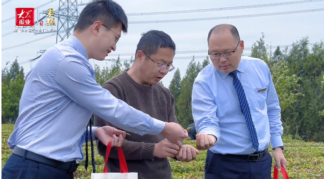 有关于莒县农商银行：“农”情茶飘香，助力小茶叶做出大产业的最新消息(1)