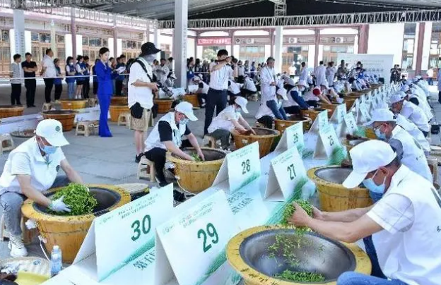 关于第五届“工匠杯”天府龙芽·宜宾早茶评比活动举行的新闻