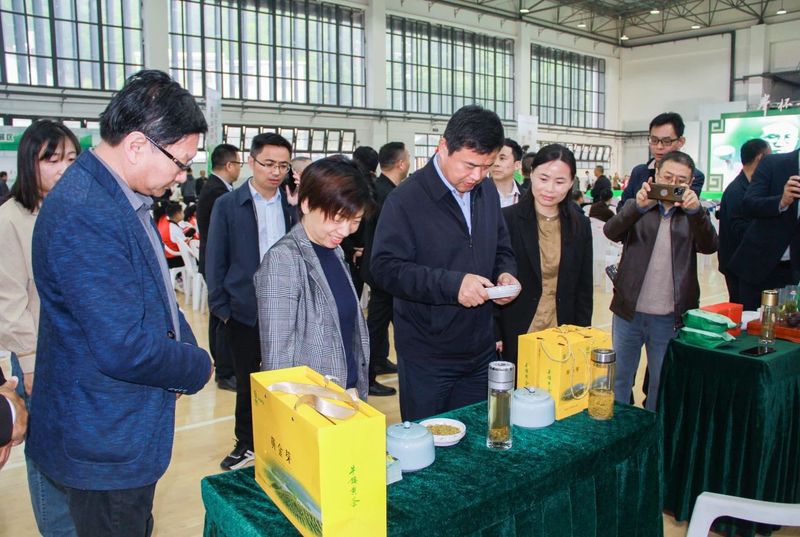 有关于“举杯相劝太湖茶”——安徽·太湖第三届大别山天华谷尖茶文化旅游周启幕的内容(4)