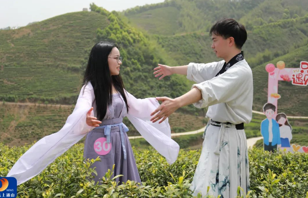 有关于 以茶促旅，以旅促茶！燕厦乡白茶文化节隆重举行  畅游通山 关注的内容(11)