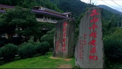 有关于2024年首批武夷山原产地红茶“金骏眉”上市的相关内容